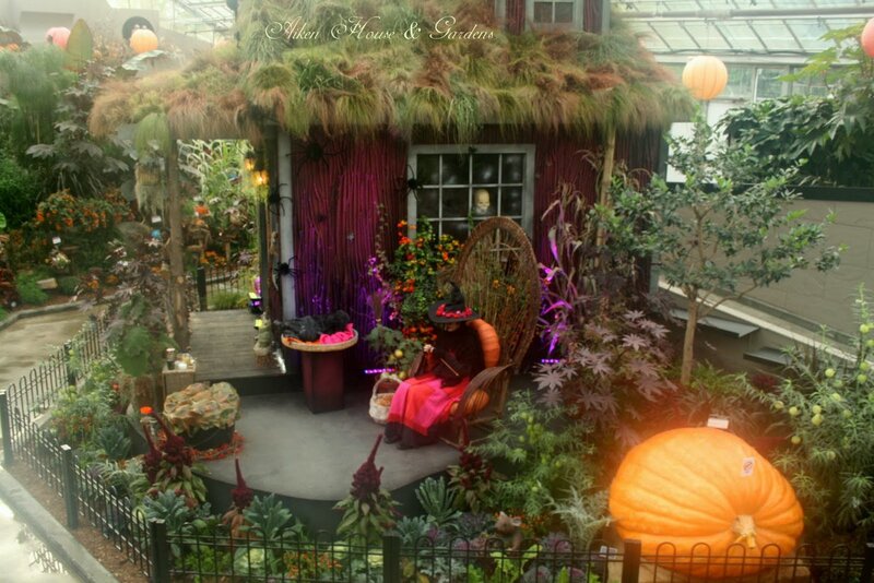 Witch in Garden Display