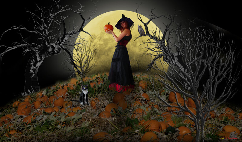 Witch in Pumpkin Patch — Black, Spooky