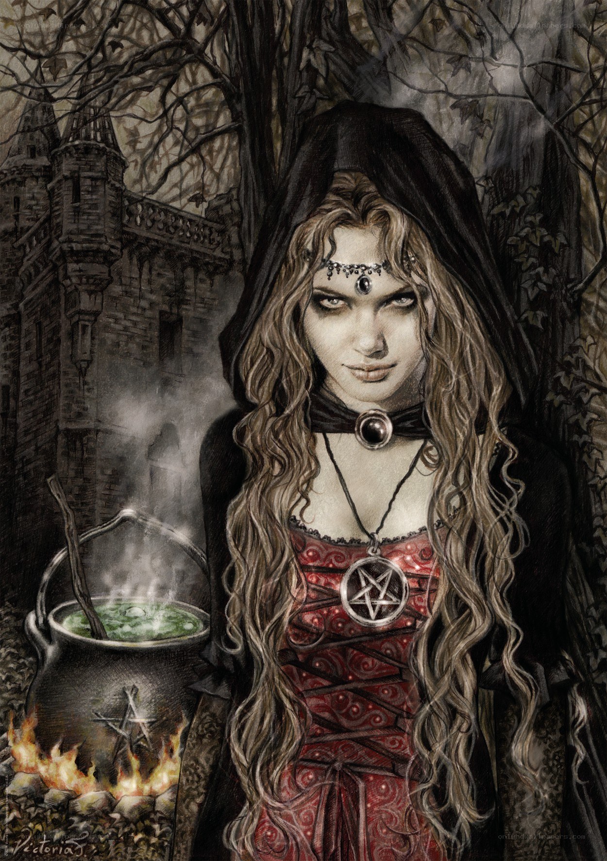 witch in the forest