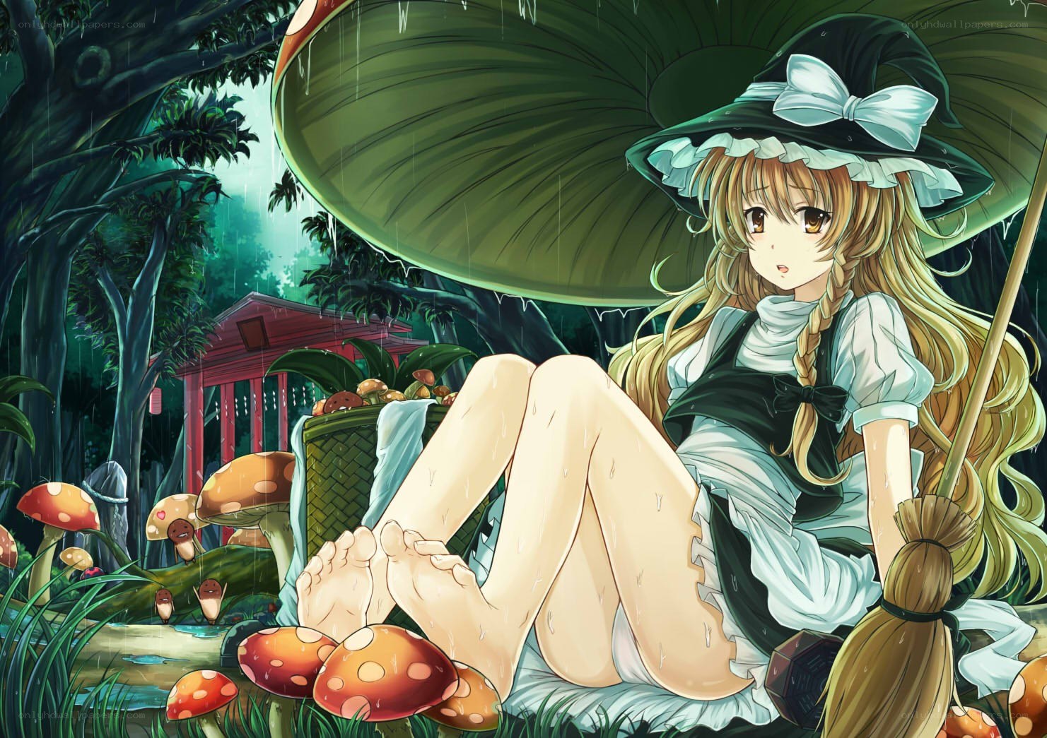 witch in the rainforest