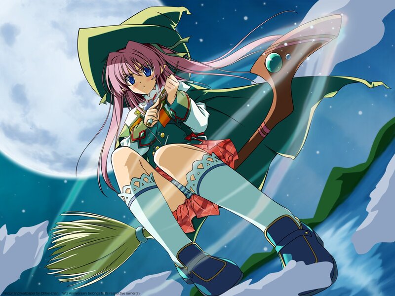 witch on a broomstick