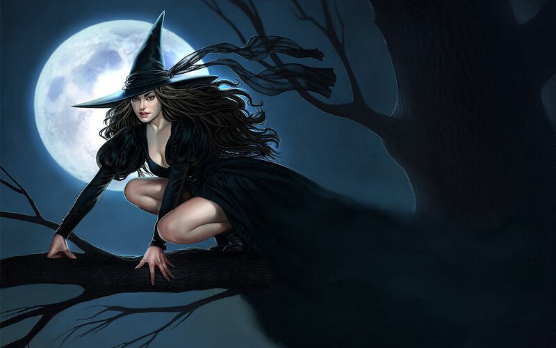 Witch on a Tree Branch — Black