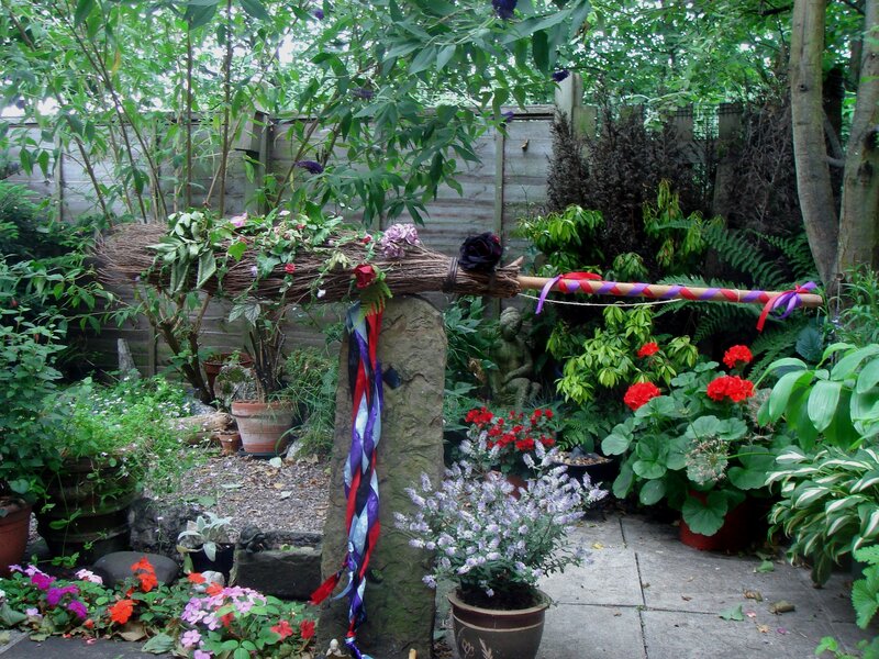 Witch's Broom in Garden