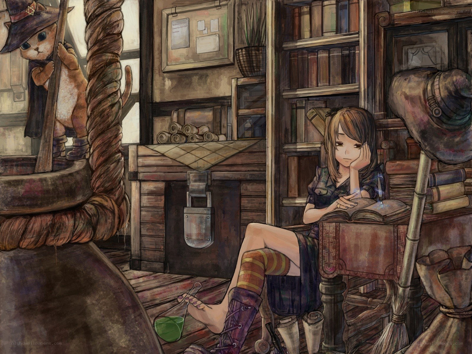Witch's study with cat