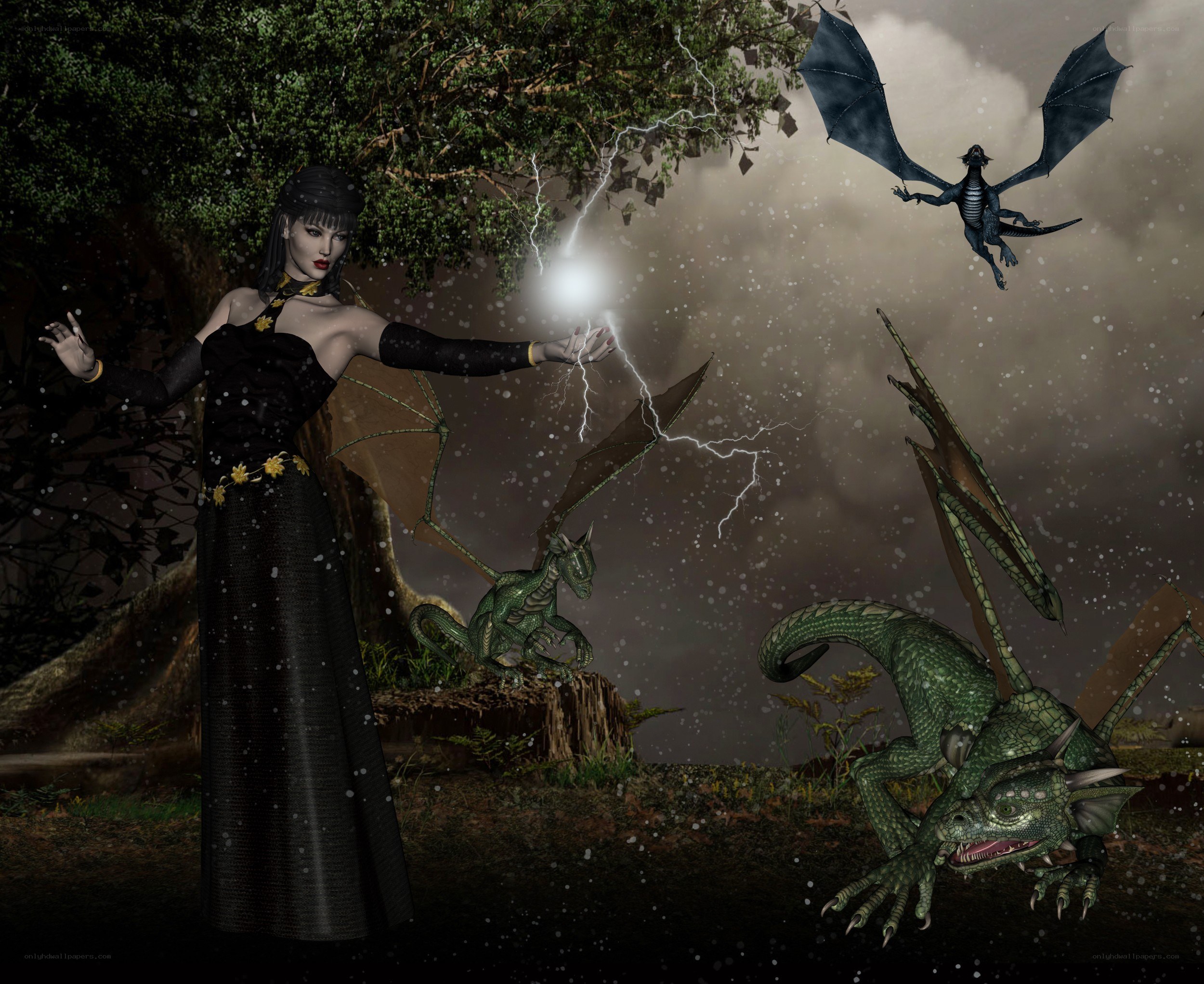 Witch summoning dragons