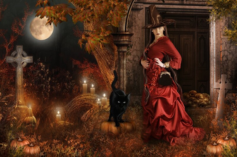 Witch with Black Cat — Red