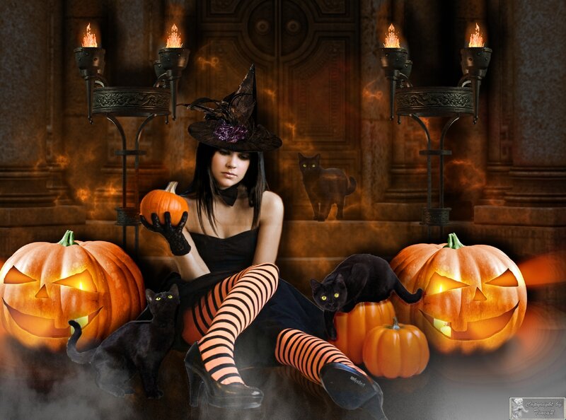 Witch with Black Cats