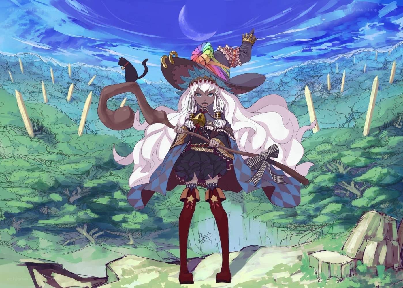 witch with cat and staff