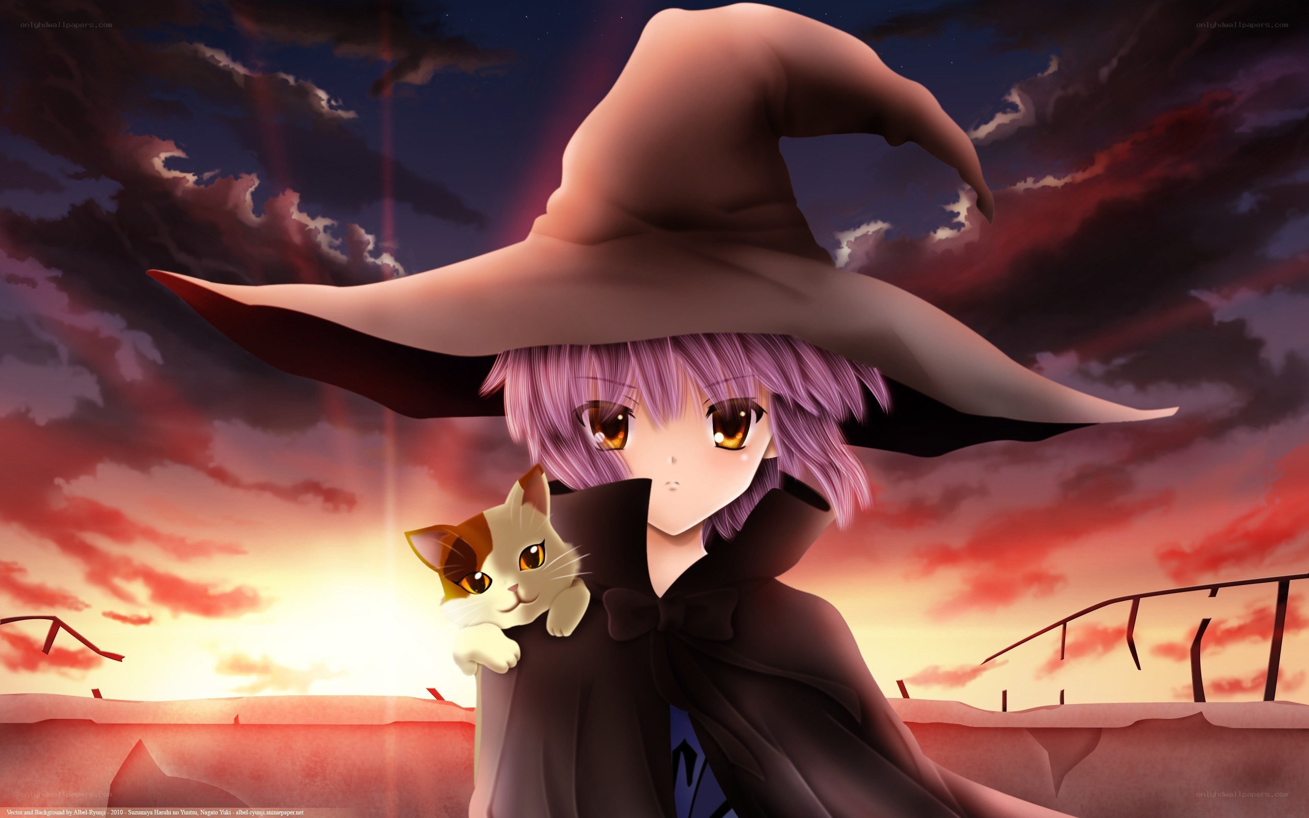 witch with cat at sunset