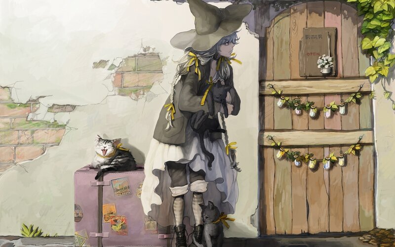 witch with cats by door