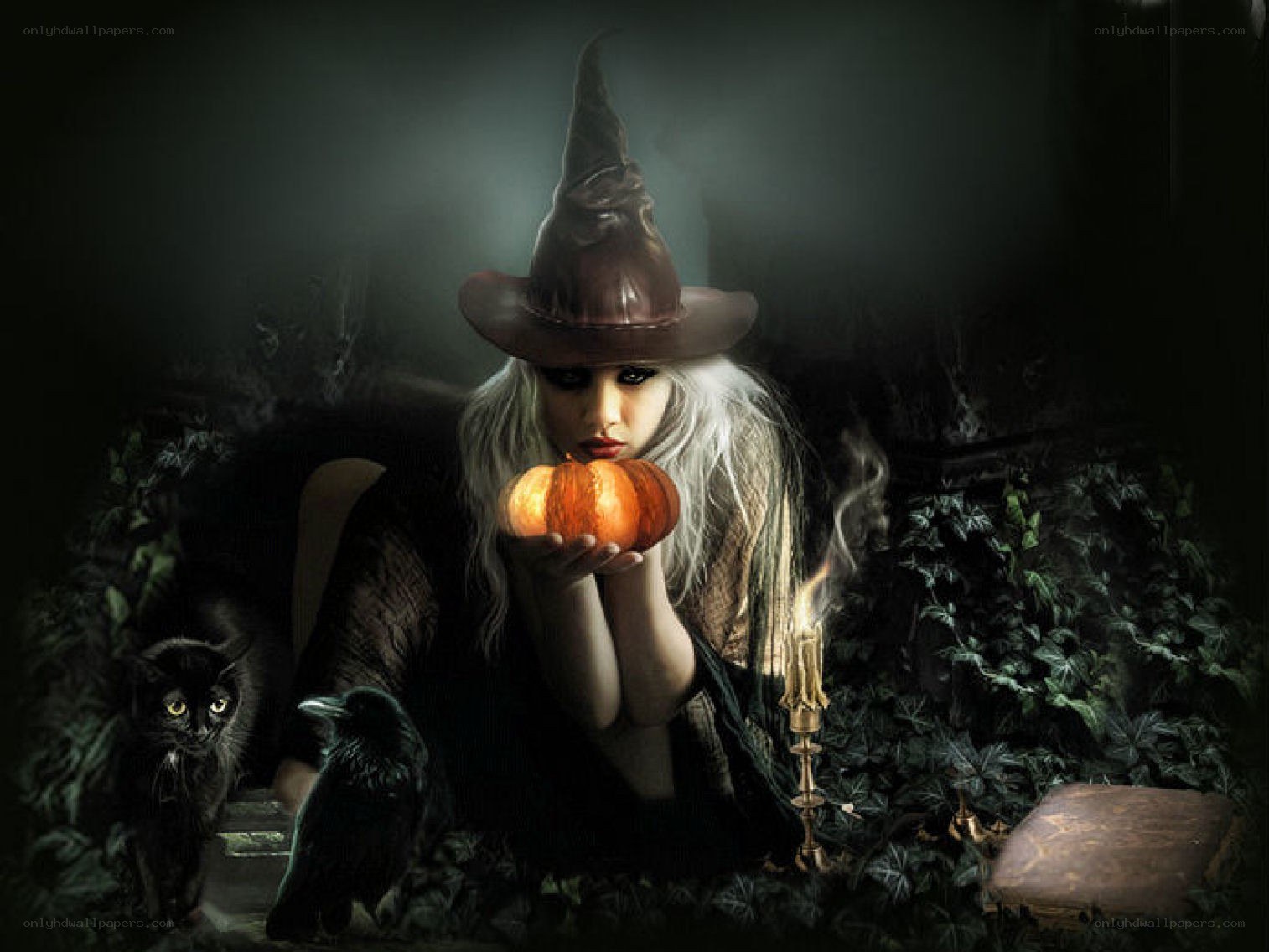 witch with pumpkin and cat