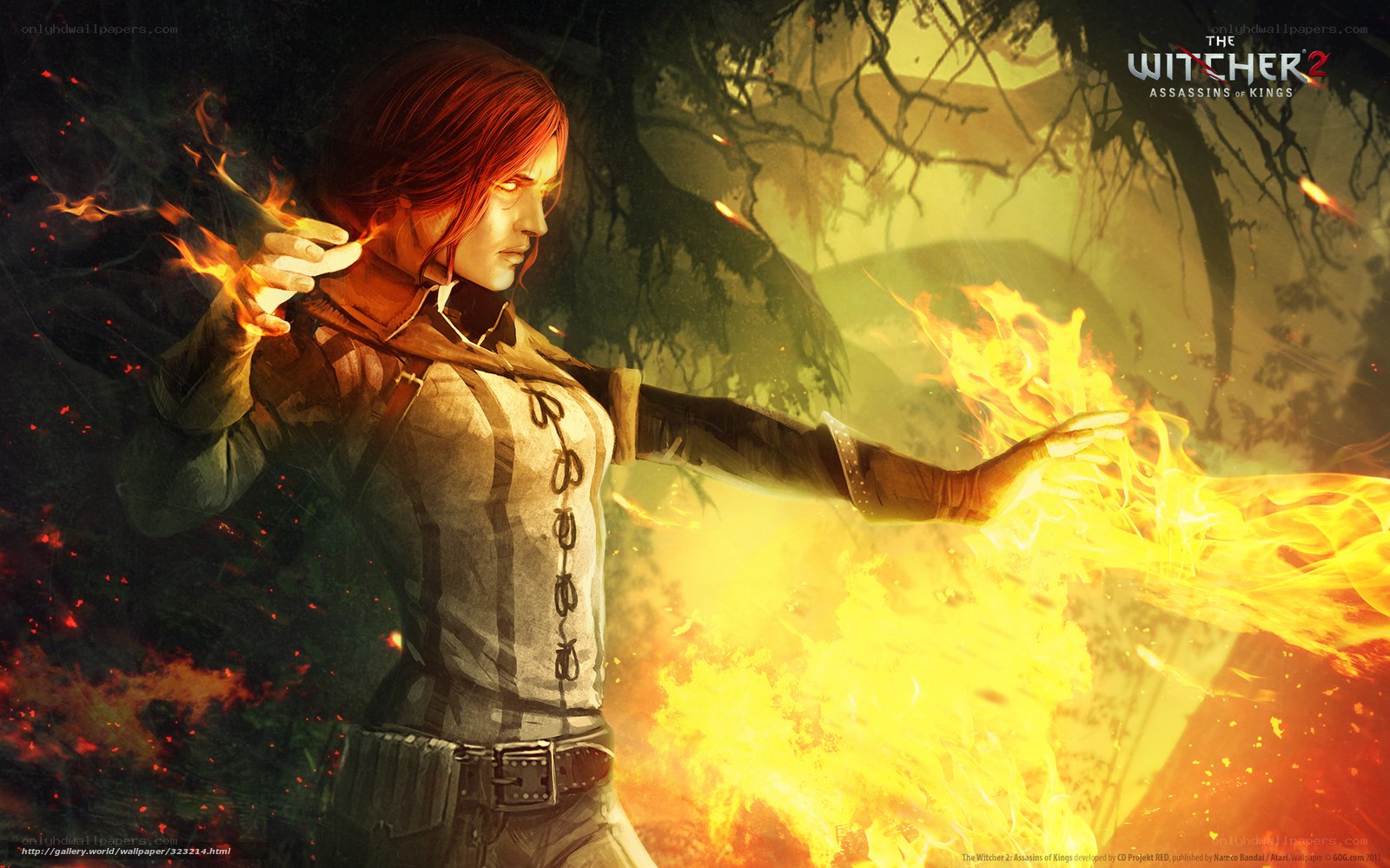 witcher 2 fire magic