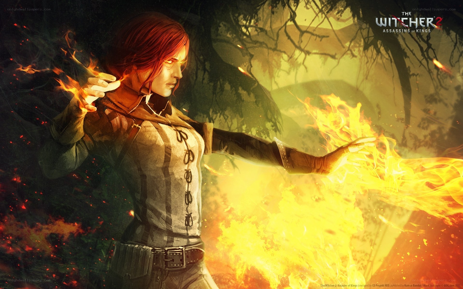 witcher 2 fire magic