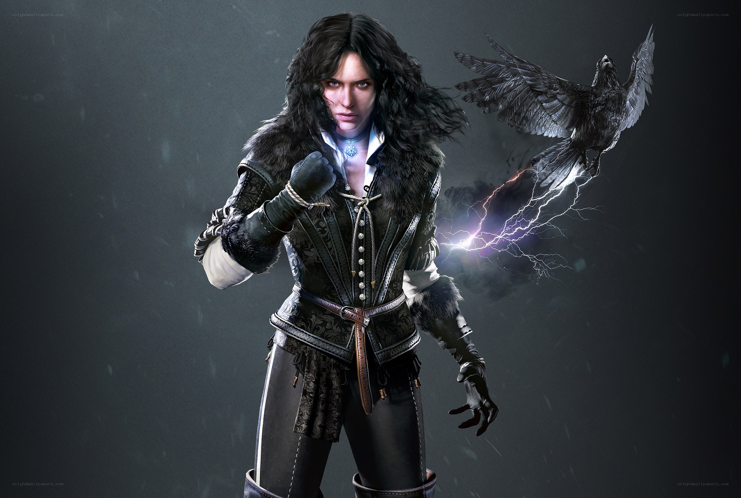witcher character with raven