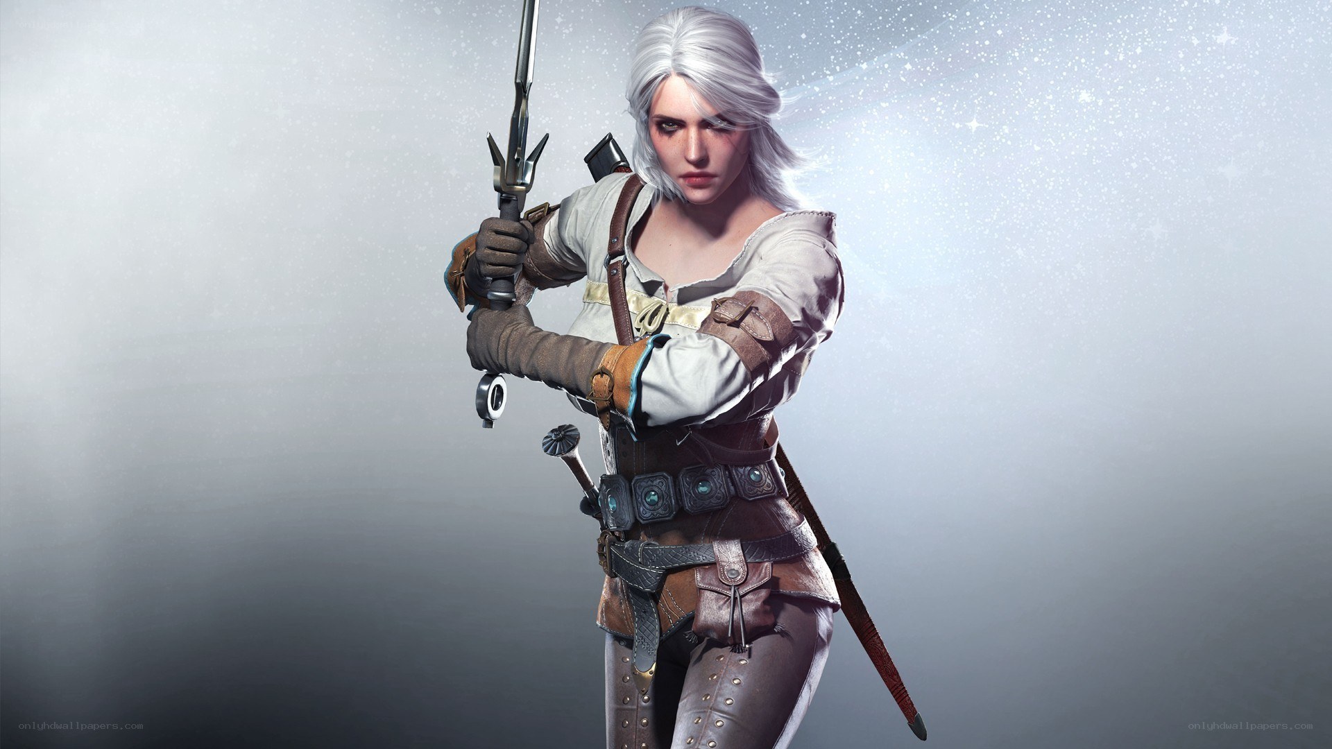 witcher character with sword