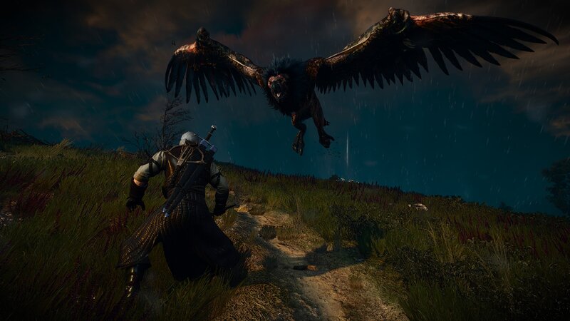 Witcher Fighting Griffin — Black