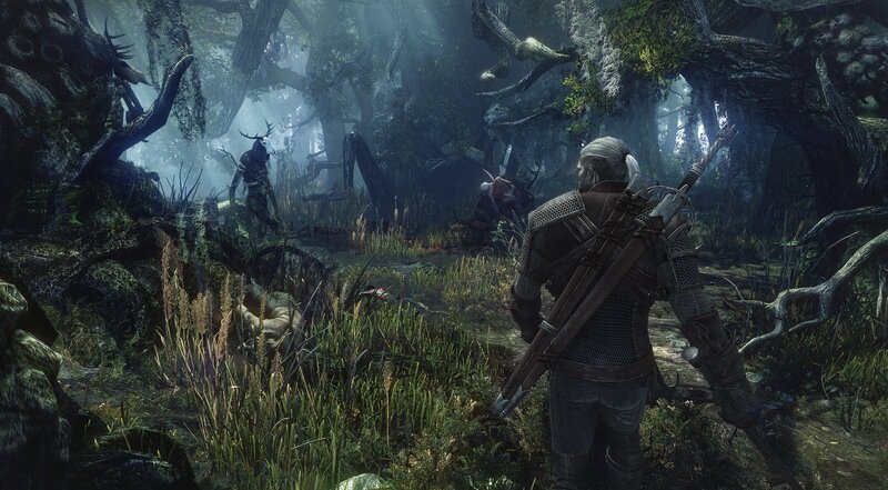 Witcher in a dark forest
