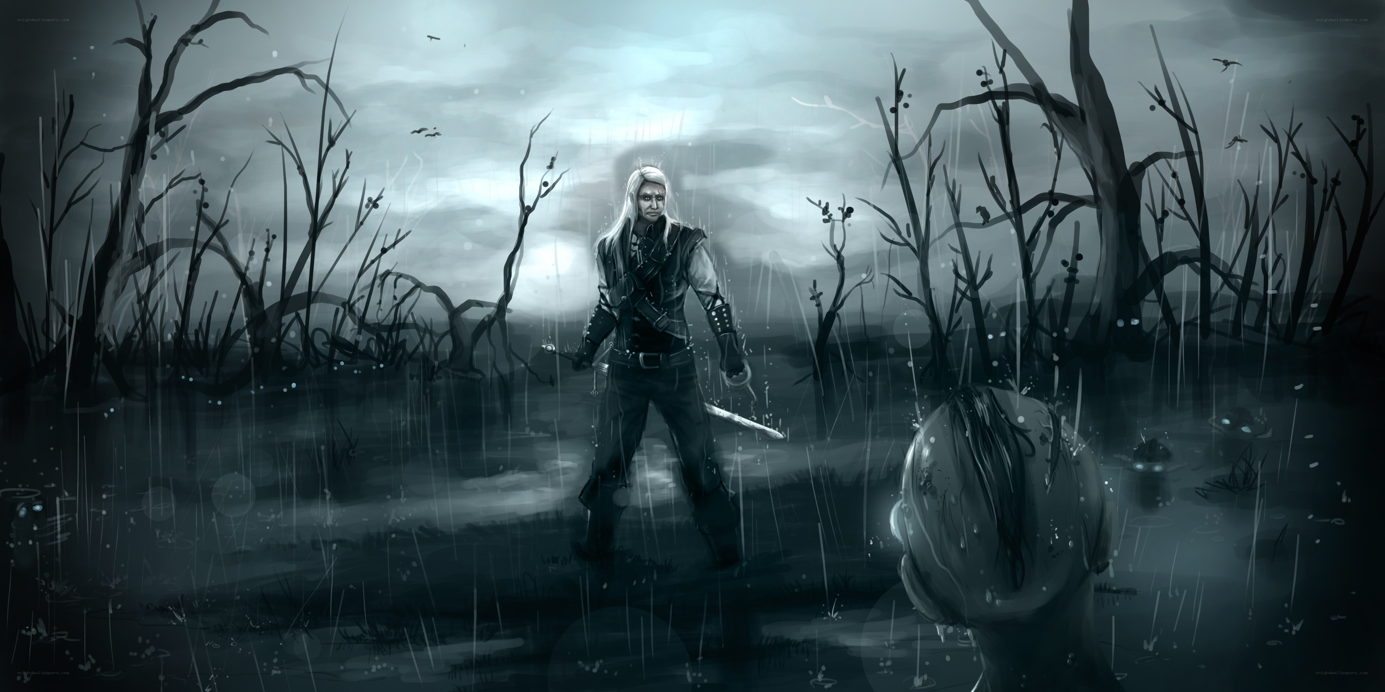 witcher in a swamp