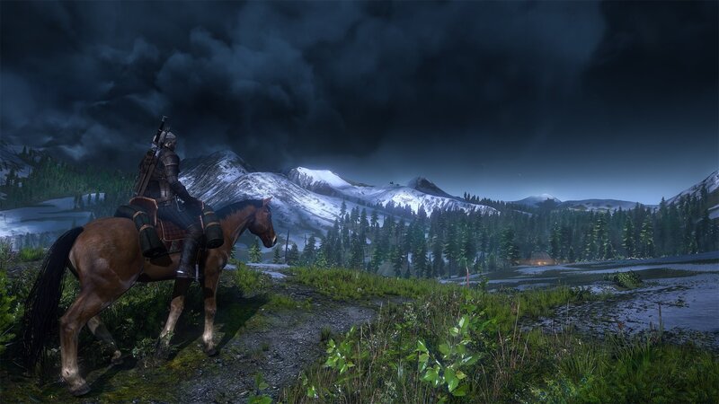 Witcher on Horseback — Green