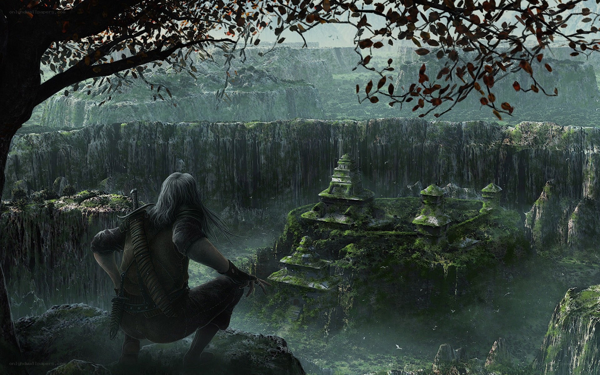 Witcher overlooking ancient ruins
