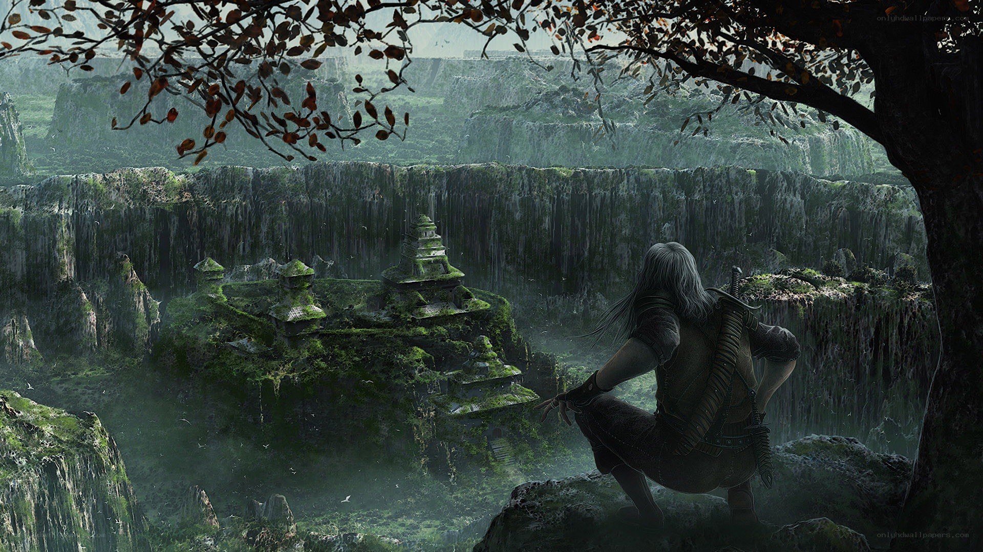 Witcher overlooks ancient ruins