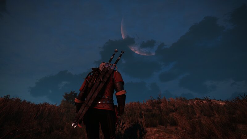 Witcher with Swords