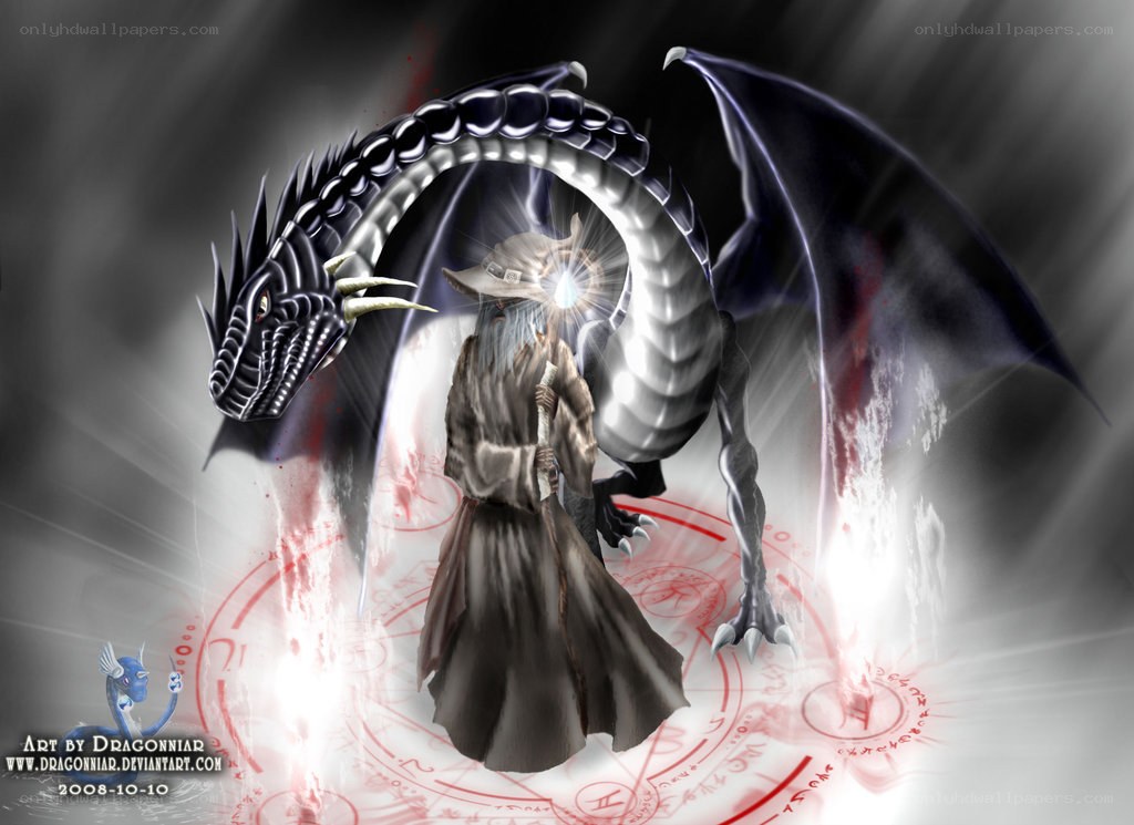 Wizard and black dragon