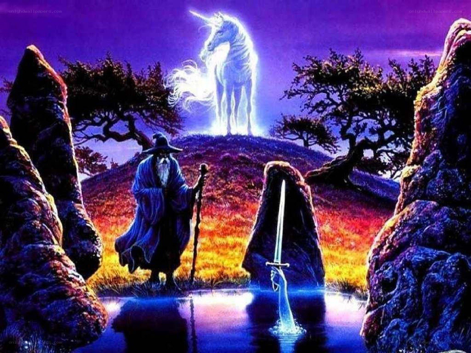 Wizard and unicorn on a hill