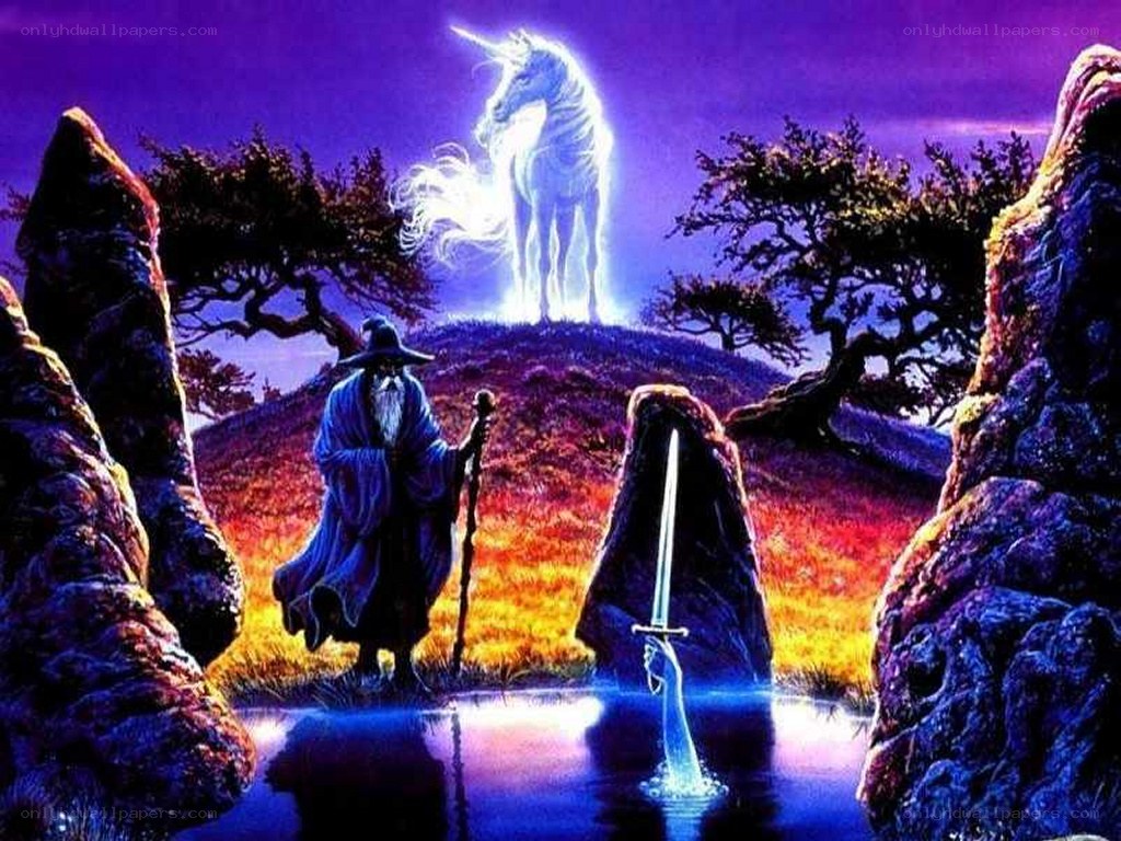Wizard and unicorn on a hill