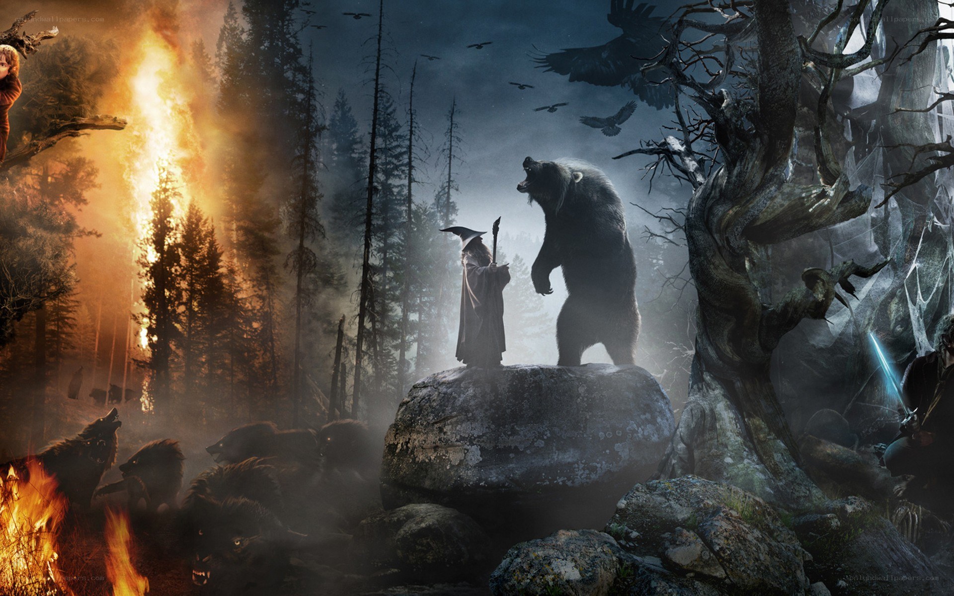 Wizard confronts bear in dark forest