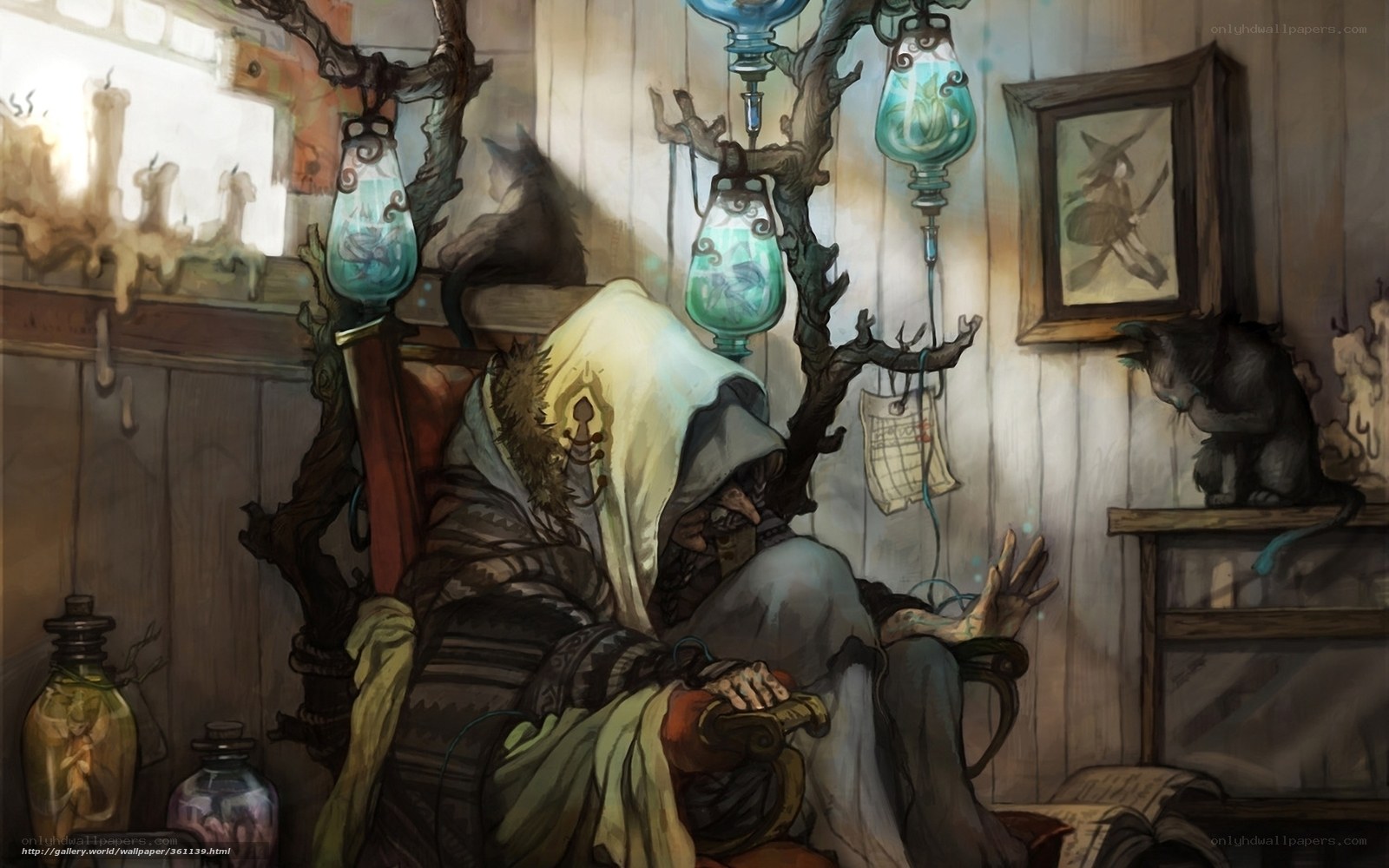 Wizard in a cozy study