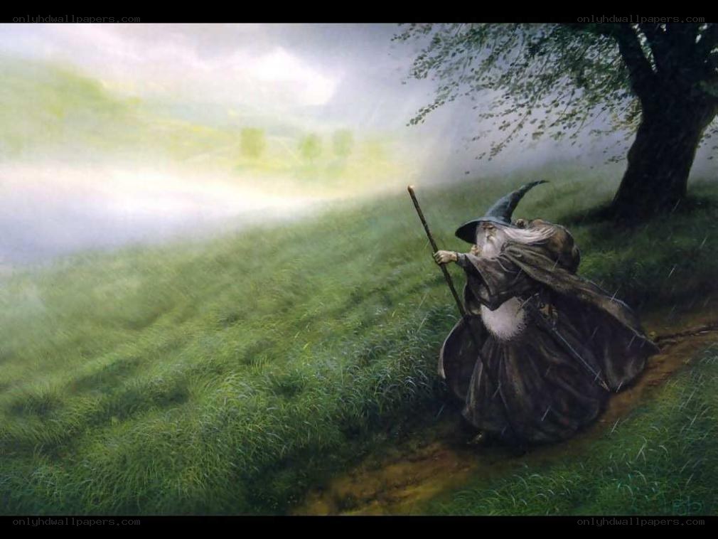 wizard in a misty landscape