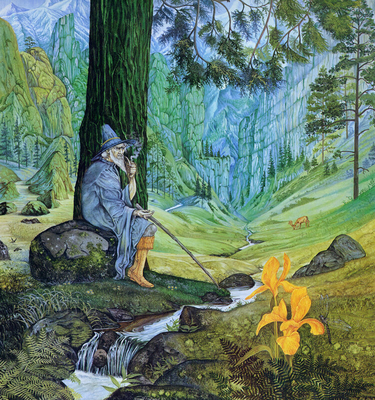 Wizard in a mountain valley