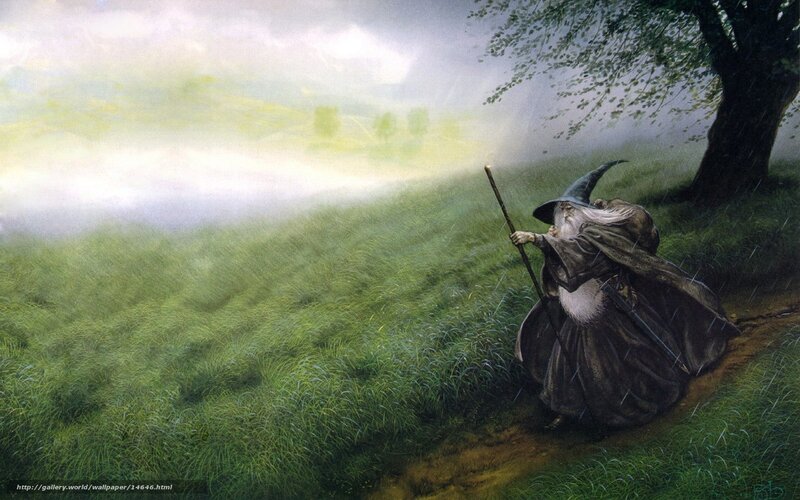 Wizard in a stormy field