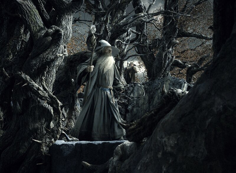 Wizard in Dark Forest