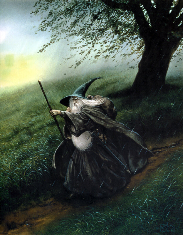 Wizard in the rain