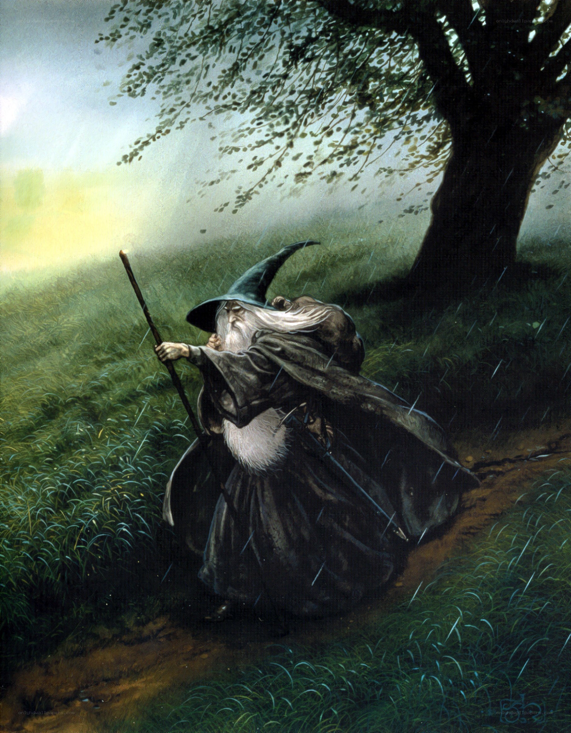 Wizard in the rain