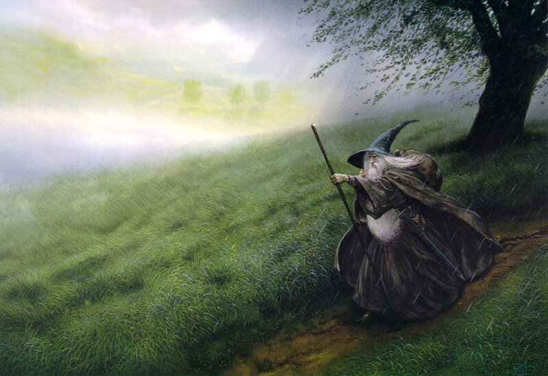 Wizard in the rain