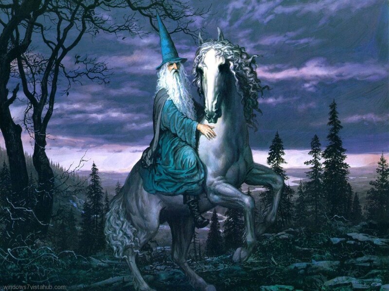 Wizard on a Horse — Purple