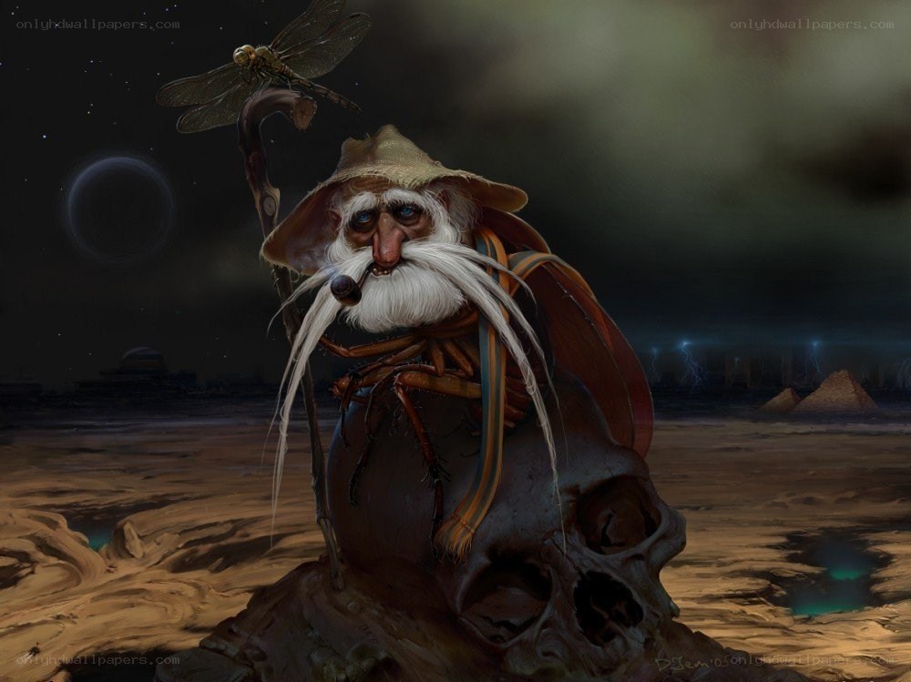 Wizard on a skull in desert