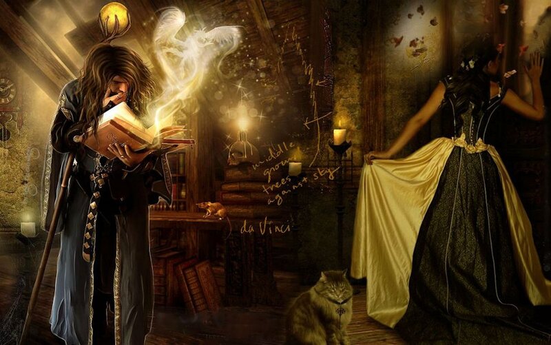 Wizard Reading Book — Brown