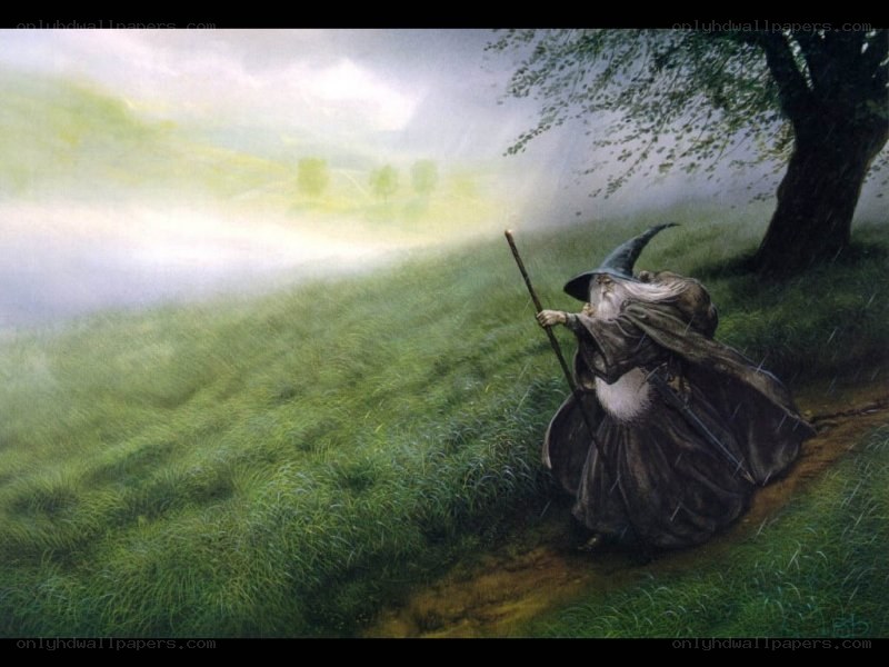 Wizard walking in a misty field