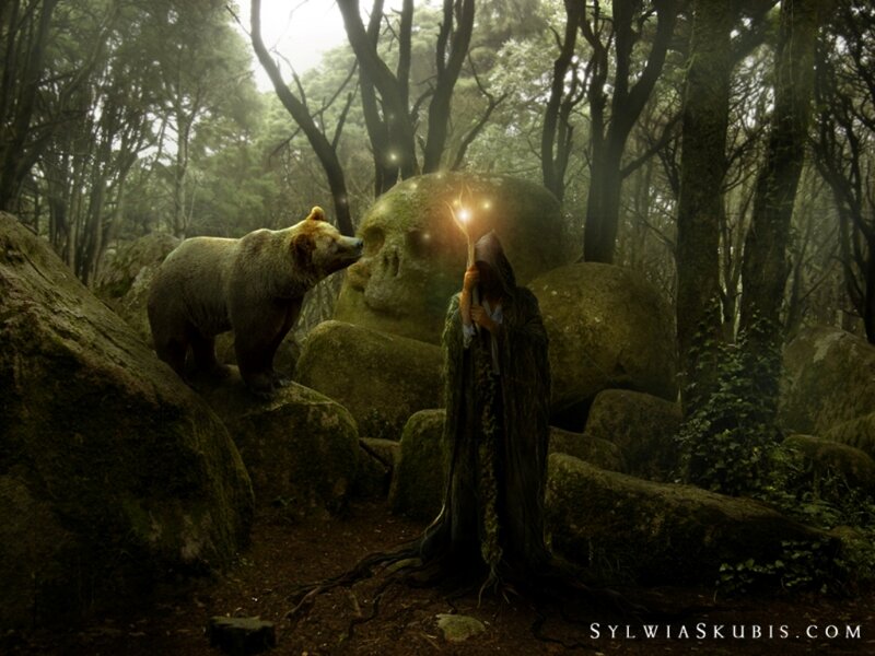 Wizard with Bear in Forest