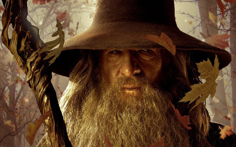 Wizard with Long Beard — Brown