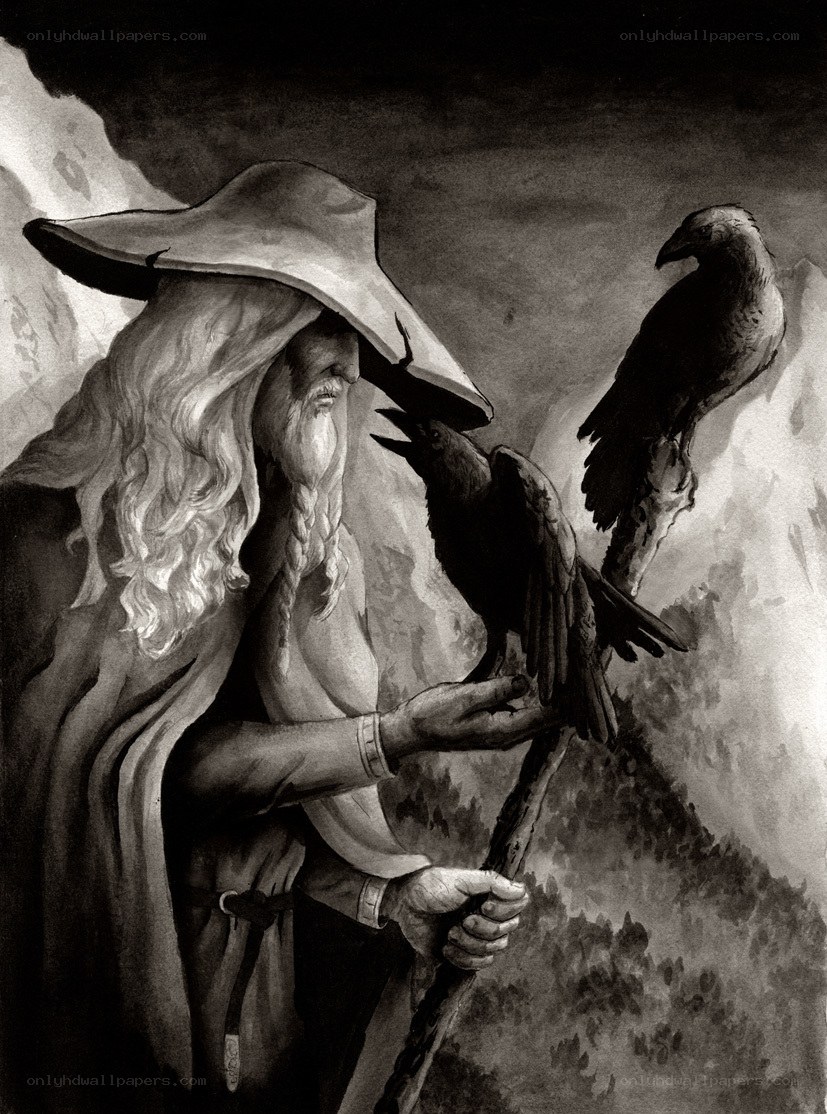 wizard with ravens