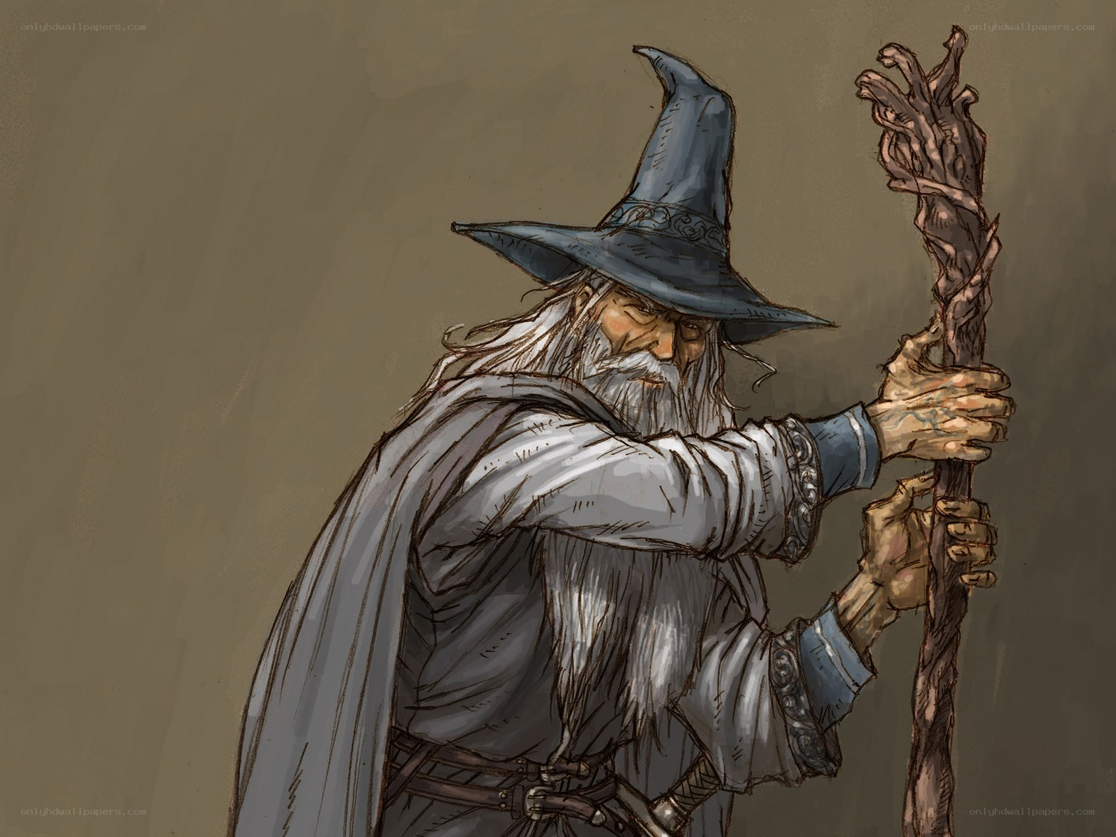 wizard with staff and hat