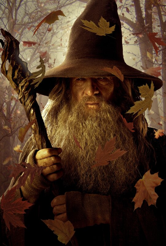 Wizard with Staff — Brown, Dramatic, Autumn