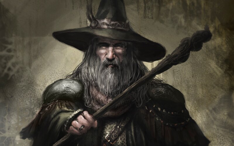 wizard with staff portrait