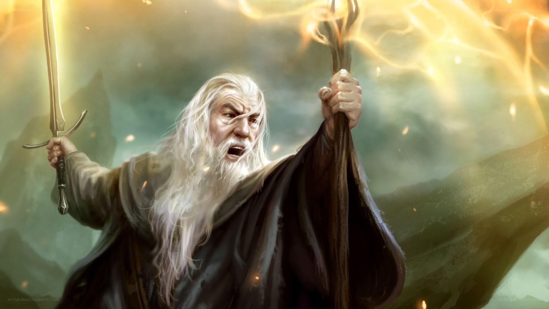 Wizard with sword and staff