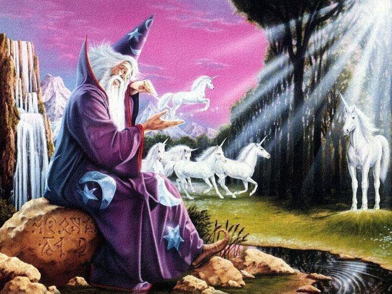 Wizard with unicorns